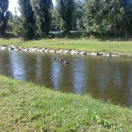Penzion Hlinkova Plzeň Exteriér fotografie