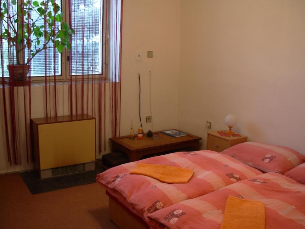 Penzion Hlinkova Plzeň Pokoj fotografie