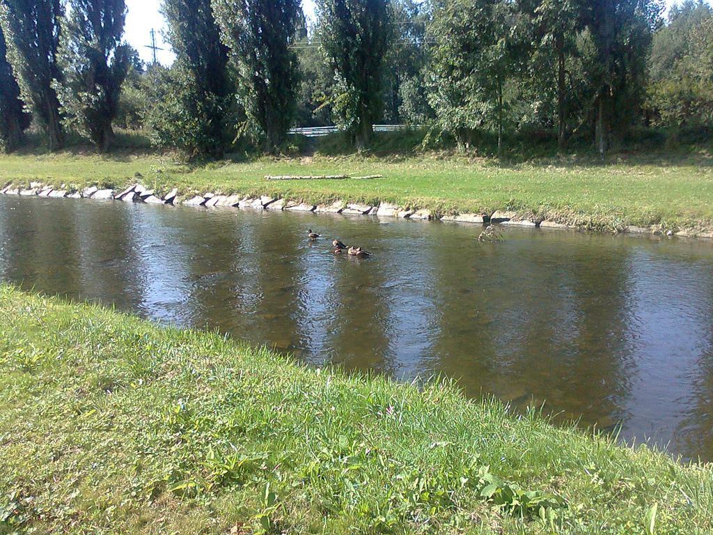Penzion Hlinkova Plzeň Exteriér fotografie